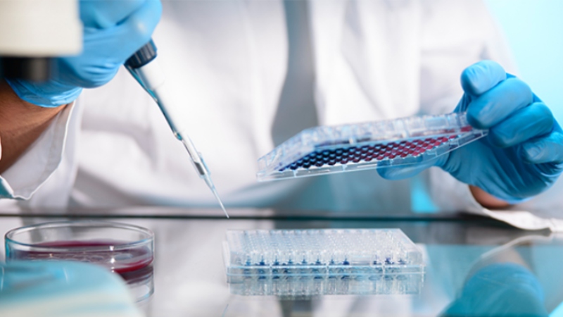 Tips to Put into Consideration Before Choosing a DNA Testing Center